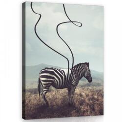 Consalnet Vászonkép, Zebra, 75x100 cm méretben (C5-11754O1)