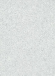 Erismann Világos szürke szemcsés beton mintás tapéta (Fashion for Walls 10377-31) (10377-31)