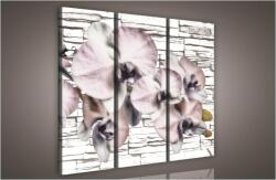 Consalnet Orchidea, 3 darabos vászonkép, 90x80 cm méretben (C5-909S6)