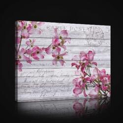 Consalnet Rózsaszín virágok deszka alapon, vászonkép, 60x40 cm méretben (C5-2567O4)