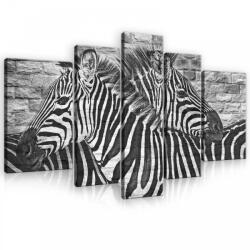 Consalnet Vászonkép, 5 darabos, Zebrák 170x100 cm méretben (C5-10113S4A)