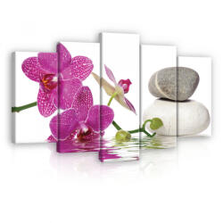 Consalnet Vászonkép 5 darabos, Orchidea 100x60 cm méretben (C5-20935S17)