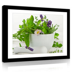 Consalnet Vászonkép, Zöld növény, kaspóban 80x60 cm méretben (C5-11318O6)