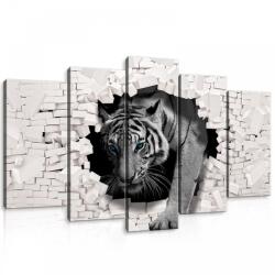 Consalnet Vászonkép 5 darabos, Tigris 100x60 cm méretben (C5-10400S17)