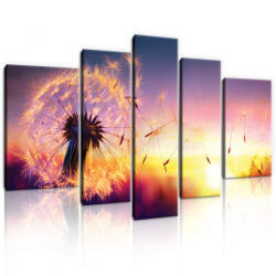 Consalnet Vászonkép, 5 darabos, Pitypang 170x100 cm méretben (C5-11416S4A)