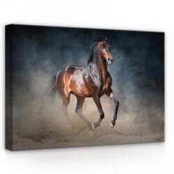 Consalnet Ló, vászonkép, 70x50 cm méretben (C5-13600O7)