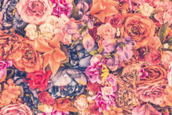 Dimex Vlies Fotótapéta - Floral background - 375x250 cm (MS-5-1288)