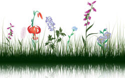 Dimex Vlies Fotótapéta - Grass silhouettes - 375x250 cm (MS-5-1459)