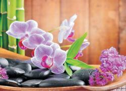 Consalnet Orchidea poszter, fotótapéta Vlies (312 x 219 cm) (C1-8-115VEXXL)