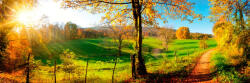 Dimex MEADOW öntapadós konyhai poszter, 180x60 cm (KI-180-083)