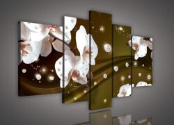 Consalnet Vászonkép, 5 darabos, Orchideák gyöngyökkel 170x100 cm méretben (C5-1650S4A)