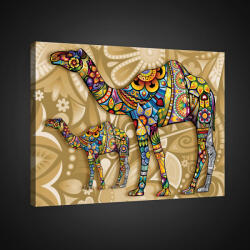 Consalnet Vászonkép, Színes tevék, 60x40 cm méretben (C5-1974O4)