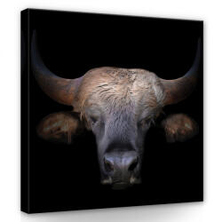 Consalnet Bölény, vászonkép 40x40 cm méretben (C5-12693O5)