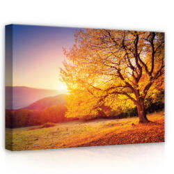 Consalnet Naplemente a dombságon, vászonkép, 70x50 cm méretben (C5-12640O7)