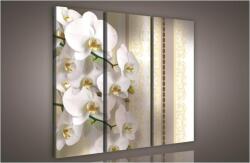 Consalnet Orchidea minta, 3 darabos vászonkép, 90x80 cm méretben (C5-845S6)
