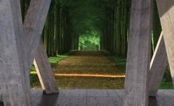 Consalnet Erdei út poszter, fotótapéta Vlies (254 x 184 cm) (C1-3658V4)