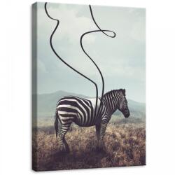 Consalnet Zebra, vászonkép, 50x70 cm méretben (C5-11754O7)