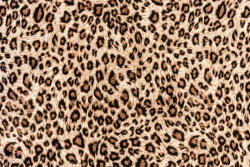 Dimex Vlies Fotótapéta - striped leopard for background - 375x250 cm (MS-5-2579)