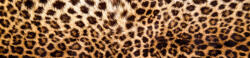 Dimex LEOPARD SKIN öntapadós konyhai poszter, 260x60 cm (KI-260-069)
