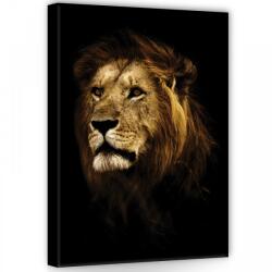 Consalnet Oroszlán, vászonkép, 50x70 cm méretben (C5-11766O7)