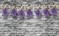 Consalnet Levendula poszter, fotótapéta, Vlies (104 x 70, 5 cm) (C1-1986VEM)