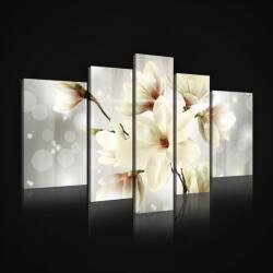 Consalnet Vászonkép, 5 darabos, Magnóliák 170x100 cm méretben (C5-2511S4A)