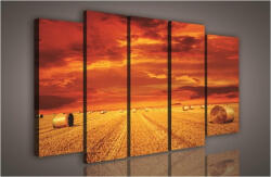 Consalnet Vászonkép, 5 darabos Szalmabálák 150x100 cm méretben (C5-198S12)