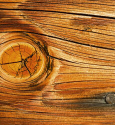 Dimex WOOD KNOT fotótapéta, poszter, vlies alapanyag, 225x250 cm (MS-3-0157)