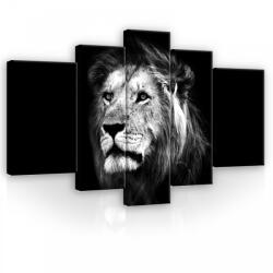 Consalnet Vászonkép, 5 darabos, Oroszlán fekete-fehér 170x100 cm méretben (C5-11768S4A)