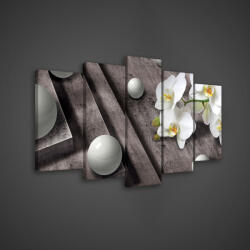 Consalnet Vászonkép 5 darabos, Orchidea gömbökkel 100x60 cm méretben (C5-2407S17)