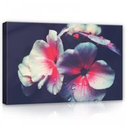 Consalnet Virág, vászonkép, 60x40 cm méretben (C5-12755O4)