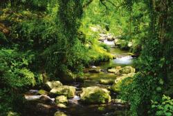 Dimex STREAM fotótapéta, poszter, vlies alapanyag, 375x250 cm (MS-5-0079)