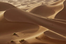 Dimex Vlies Fotótapéta - Sahara dunes - 375x250 cm (MS-5-1836)