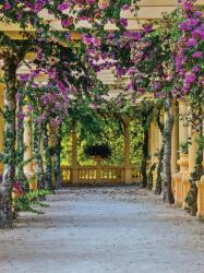 Consalnet Filagóra poszter, fotótapéta, Vlies (206x275 cm, álló) (C1-10896VEA)