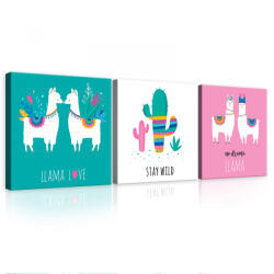 Consalnet Vászonkép 3 darabos, Llama, 3 db 25x25 cm méret (C5-12507S13)