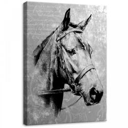 Consalnet Ló, vászonkép, 50x70 cm méretben (C5-10146O7)