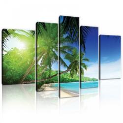 Consalnet Vászonkép, 5 darabos, Pálmafák a tengerparton 170x100 cm méretben (C5-20040S4A)