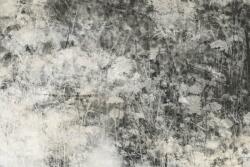 Dimex Természet szürke fotótapéta, poszter, vlies alapanyag, 375x250 cm (MS-5-0361)