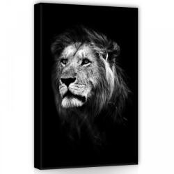 Consalnet Oroszlán fekete-fehérben, vászonkép, 40x60 cm méretben (C5-11768O4)
