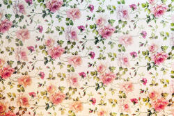 Dimex Vlies Fotótapéta - Small roses - 375x250 cm (MS-5-1287)