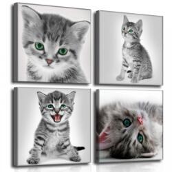 Consalnet Vászonkép 4 darabos, Macskák 50x50 cm méretben (C5-11198S20)