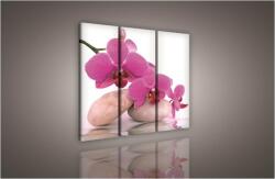 Consalnet Orchidea, 3 darabos vászonkép, 90x80 cm méretben (C5-136S6)
