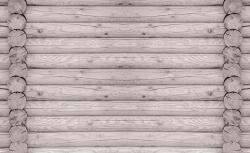 Consalnet Fatörzsek poszter, fotótapéta, Vlies (368 x 254 cm) (C1-2213V8)