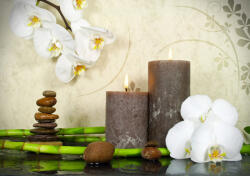 Consalnet Zen poszter, fotótapéta Vlies (254 x 184 cm) (C1-13018V4)