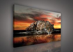 Consalnet Vászonkép, Jaguár, 120x80 cm méretben (C5-101O20)