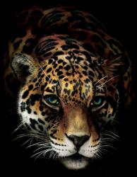 Consalnet Jaguár poszter, fotótapéta (206 x 275 cm) (C1-10148VEA)