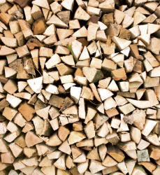 Dimex TIMBER LOGS fotótapéta, poszter, vlies alapanyag, 225x250 cm (MS-3-0161)