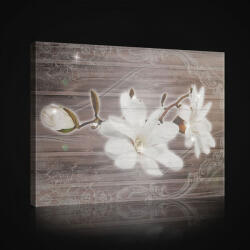 Consalnet Vászonkép, Fehér virág deszkamintán, 60x40 cm méretben (C5-2623O4)