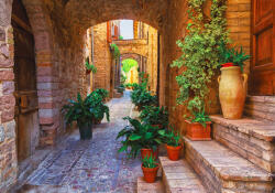 Sverus Fotótapéta Plants in Pots on Narrow Streets of the Ancient City of Spello, 416 x 290 cm (SV-47838321WM-416X290CM)