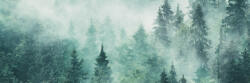 Dimex FOGGY FOREST öntapadós konyhai poszter, 180x60 cm (KI-180-140)
